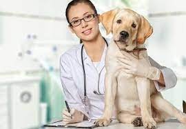 Airclean 19 - mold inspector in Austin, TX