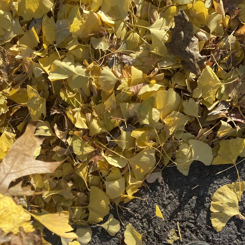 Antioch Park - Parks Near Me - Merriam, Kansas