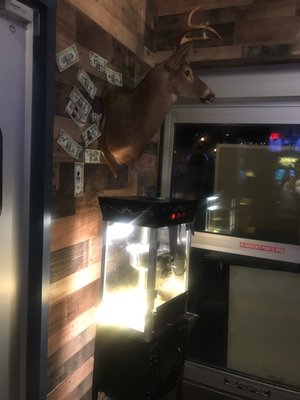 The Basement by null