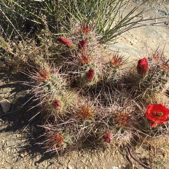 Ryan Mountain - Hiking Near Me - Twentynine Palms, California Ryan Mountain - Hiking Near Me - Twentynine Palms, California