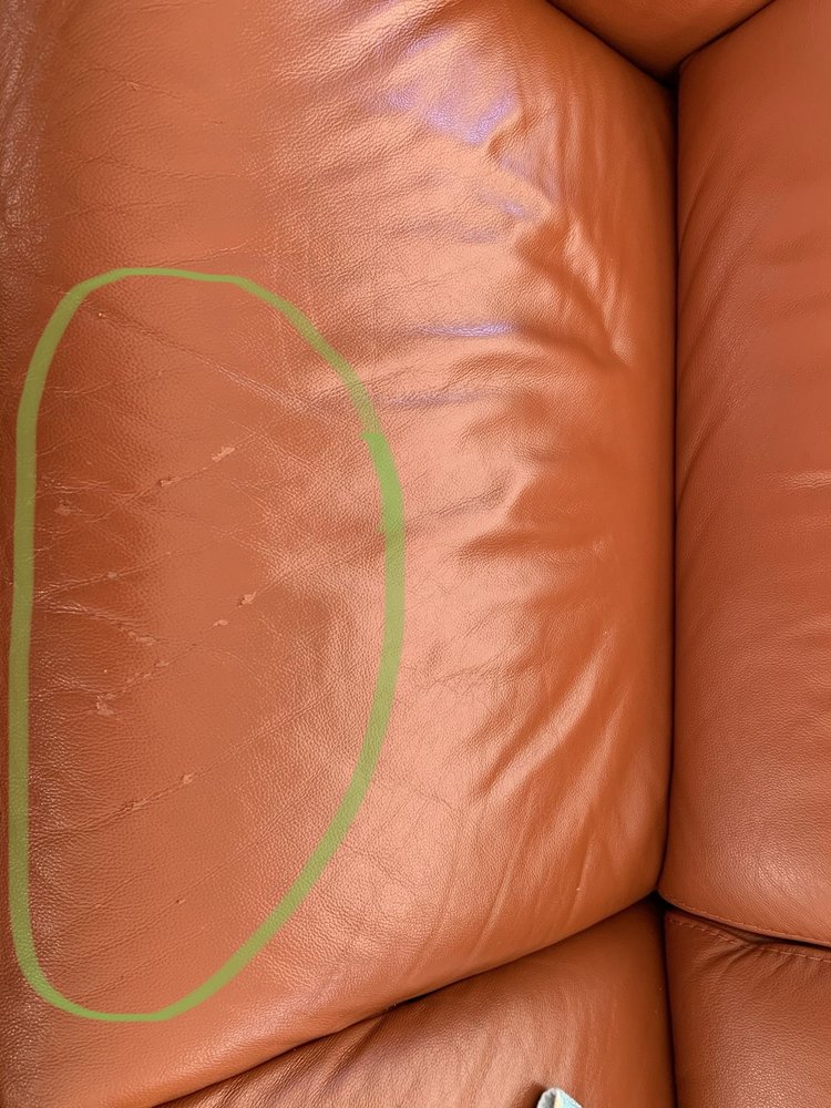 KASALA 17 Photos & 45 Reviews 1018 116th Ave NE, Bellevue