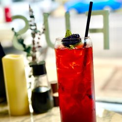 Sage & Salt Fusions - BlackBerry Nojito
