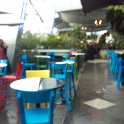The Paddington Tavern - Beer Garden