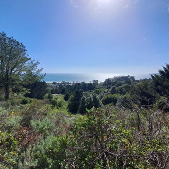 Matt Davis Trail - Parks Near Me - Stinson Beach, California Matt Davis Trail - Parks Near Me - Stinson Beach, California