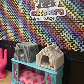 Catcetera Cat Lounge - Themed Cafes Near Me - Raritan, New Jersey