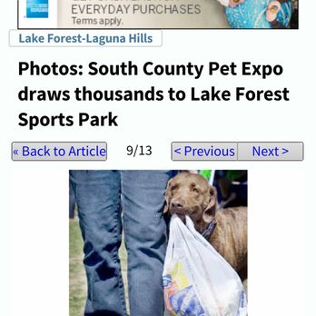 Doggie Do Pet Services - Dij carries trash bag to receptacle. - Pet Sitting Near Me Doggie Do Pet Services - Dij carries trash bag to receptacle. - Pet Sitting Near Me