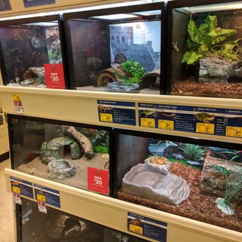 PetSmart - Reptiles - Pet Groomers Near Me - Cedar Park, Texas PetSmart - Reptiles - Pet Groomers Near Me - Cedar Park, Texas