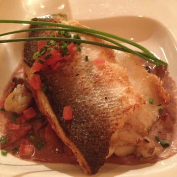 Sonora - Bronzino over gnocchi. Mmmmm. - Latin American Near Me - Port Chester, New York Sonora - Bronzino over gnocchi. Mmmmm. - Latin American Near Me - Port Chester, New York