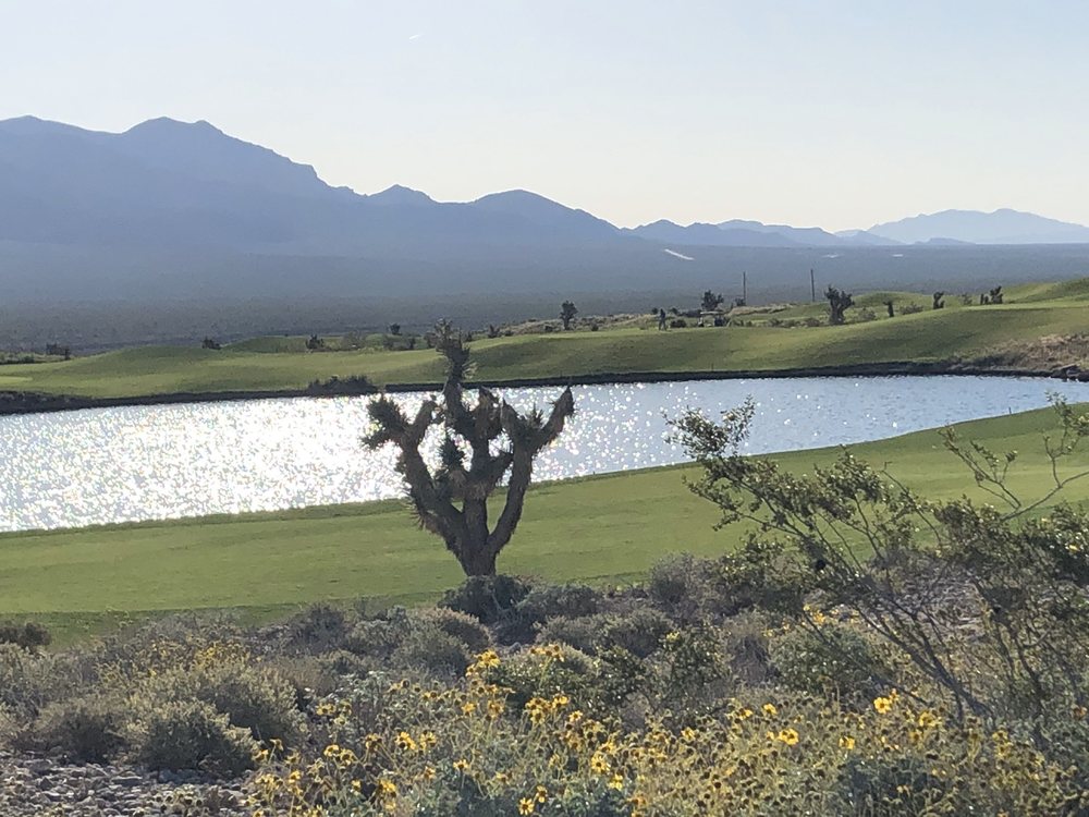 Southern Nevada Golf Association For Business Women Logo