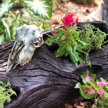 Twisted Crow - the skull of a bird on a log - Metal Fabricators Near Me - Bogata, Texas