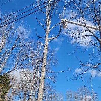 Rigsby & Son Tree Service - One Call Will Solve It All Rigsby&Son Tree Service Moblie 615-506-0796 Thanks A lot Stephen Rigsby!! - Tree Services Near Me - Joelton, Tennessee Rigsby & Son Tree Service - One Call Will Solve It All Rigsby&Son Tree Service Moblie 615-506-0796 Thanks A lot Stephen Rigsby!! - Tree Services Near Me - Joelton, Tennessee