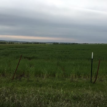 Rosey Ridge Farm - a view of a field of grass - Farmers Market Near Me - Grandview, Texas Rosey Ridge Farm - a view of a field of grass - Farmers Market Near Me - Grandview, Texas