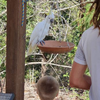 Cafe In the Mountains - Feeding the friendly locals - Cafes Near Me - Mount Nebo, QLD Cafe In the Mountains - Feeding the friendly locals - Cafes Near Me - Mount Nebo, QLD