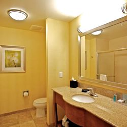 Hampton Inn Ringgold-Ft. Oglethorpe - Guest room bath