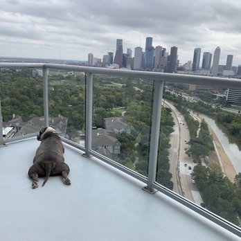 Windsor Memorial - Apartments Near Me - Houston, Texas