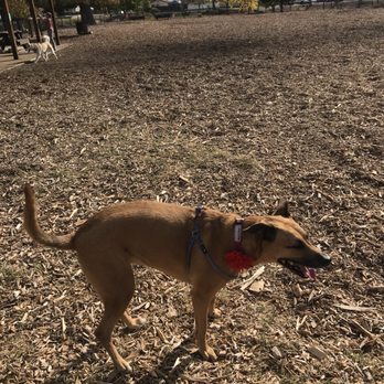 Sherwood Dog Park - Dog Parks Near Me - Paso Robles, California Sherwood Dog Park - Dog Parks Near Me - Paso Robles, California