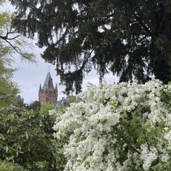 Schlosspark