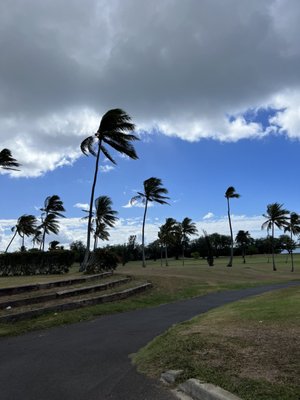 MAMALA BAY GOLF COURSE Updated October 2025 184 Photos 36 Reviews