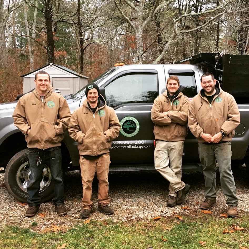 CAPE COD TREE & LANDSCAPE - Updated September 2025 - 77 Photos & 10 ...