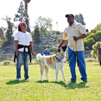 OJ K9 Coach - OJ teaching how to get your dog to walk on a loose leash. - Pet Training Near Me OJ K9 Coach - OJ teaching how to get your dog to walk on a loose leash. - Pet Training Near Me