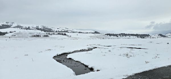 Roosevelt Arch by null
