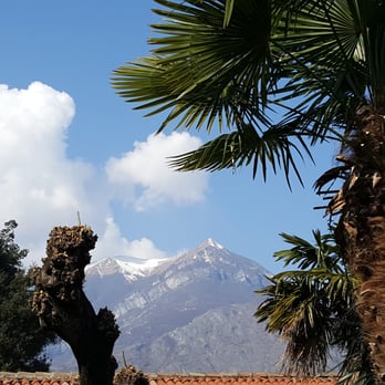 Ristorante Bellagio - Tiglio Tree in Bellagio, Italy with the Alps in the background. - Lumbard Near Me - Bellagio, Colorado Ristorante Bellagio - Tiglio Tree in Bellagio, Italy with the Alps in the background. - Lumbard Near Me - Bellagio, Colorado