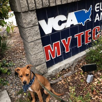 VCA El Rancho Animal Hospital - Waiting for his treat hahah - Veterinarians Near Me - Temecula, California VCA El Rancho Animal Hospital - Waiting for his treat hahah - Veterinarians Near Me - Temecula, California