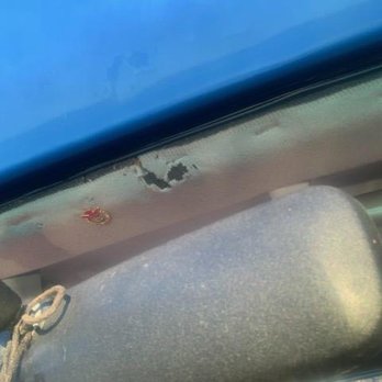 Bay Area Glass Works - Auto Glass Services Near Me - Pinellas Park, Florida Bay Area Glass Works - Auto Glass Services Near Me - Pinellas Park, Florida