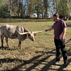 Downey Family Farm