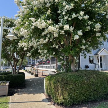 Morningstar Marinas - Stony,s Restaurant - Marinas Near Me - Norfolk, Virginia Morningstar Marinas - Stony,s Restaurant - Marinas Near Me - Norfolk, Virginia