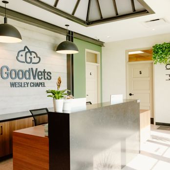 Goodvets - Veterinarians Near Me - Wesley Chapel, Florida Goodvets - Veterinarians Near Me - Wesley Chapel, Florida