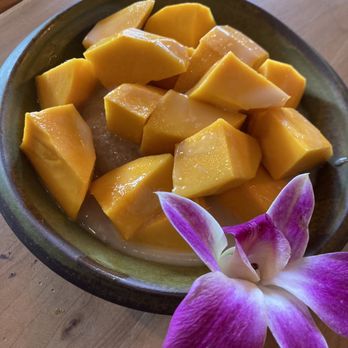 Thai BBQ House - Sticky Rice w/ Mango - Salad Near Me - Petaluma, California Thai BBQ House - Sticky Rice w/ Mango - Salad Near Me - Petaluma, California
