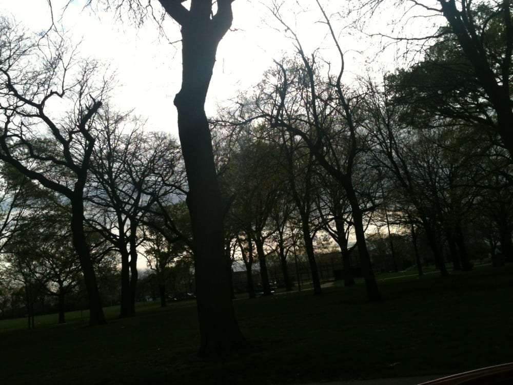 Piotrowski Park Image