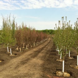 Classic Landscapes - Tree Farm - located NW corner Hwy 14 & Hwy 21