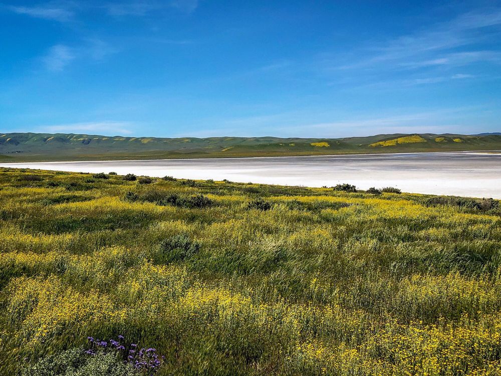 SODA LAKE OVERLOOK AND BOARDWALK 68 Photos Soda Lake Rd, Santa