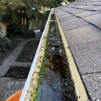 NuShake Roofing - Mosquito larva obviously grows here. - Roofing Near Me - Ripon, California