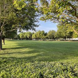 Town Square Park - Spring