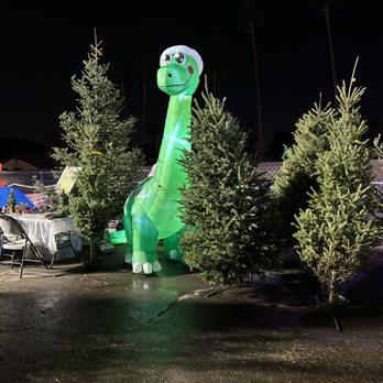 Moon Valley Nurseries - Getting a tree - Nurseries & Gardening Near Me - Phoenix, Arizona