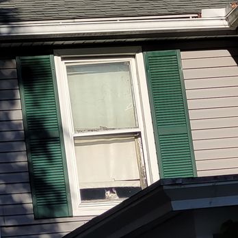 A Diamond & A Dream - The cat next door that watched the wedding - Venues & Event Spaces Near Me - Marion, New York A Diamond & A Dream - The cat next door that watched the wedding - Venues & Event Spaces Near Me - Marion, New York