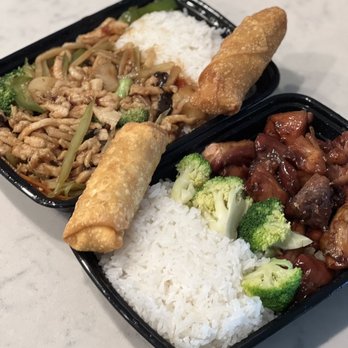 China Dragon - Schzewhan Chicken and Bourbon Chicken - Chinese Near Me - Tampa, Florida China Dragon - Schzewhan Chicken and Bourbon Chicken - Chinese Near Me - Tampa, Florida