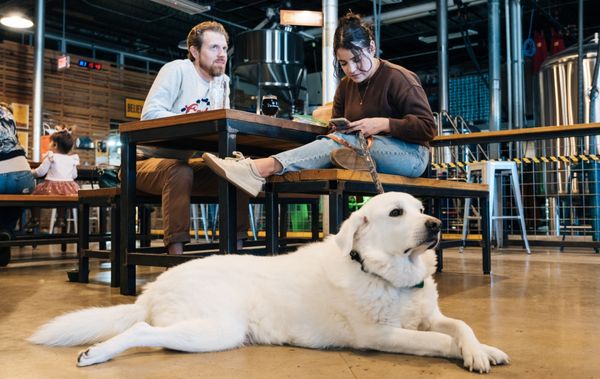 Roadmap Brewing Co. by null