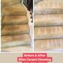 Bliss Carpet Cleaning