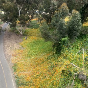San Luis Rey Bike Trail - Hiking Near Me - Oceanside, California San Luis Rey Bike Trail - Hiking Near Me - Oceanside, California