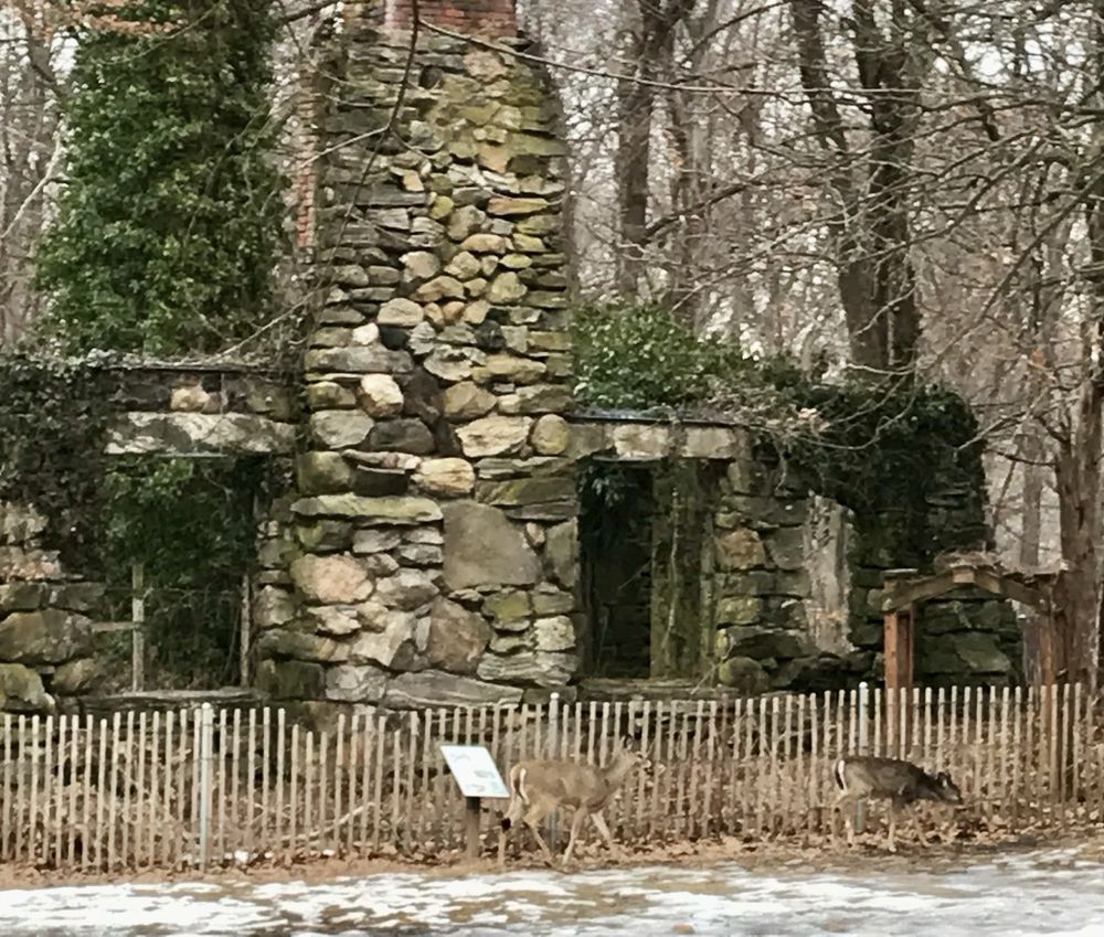 Rye Nature Center - social services organization in Rye, NY