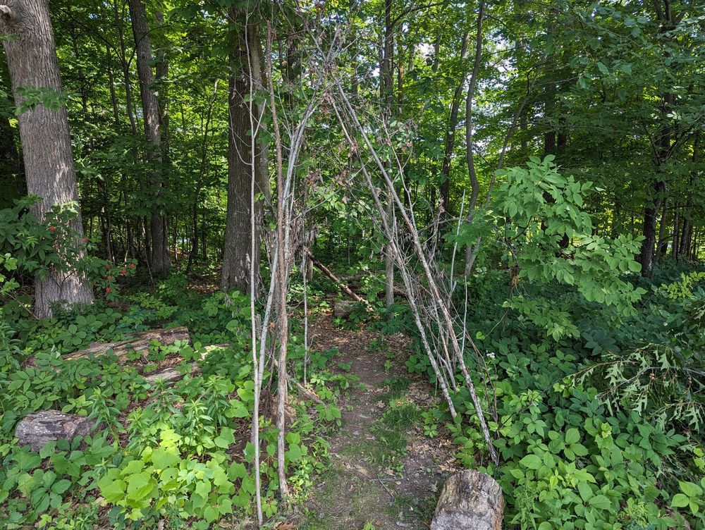 HUNT HILL AUDUBON SANCTUARY Updated October 2024 N2384 Hunt Hill Rd