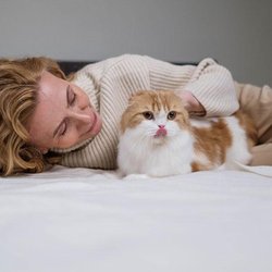 Elie Pet Rescue