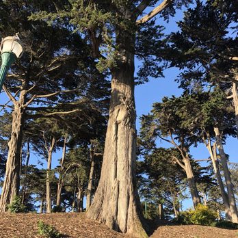 Alamo Square - Parks Near Me - San Francisco, California