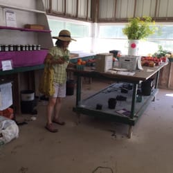 Sully's Produce, LLC - Aside from the day's harvest they have preserves and baked goods