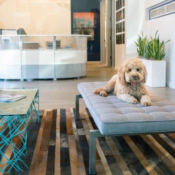 Austin Capital Mortgage - Mortgage Brokers Near Me - Austin, Texas Austin Capital Mortgage - Mortgage Brokers Near Me - Austin, Texas