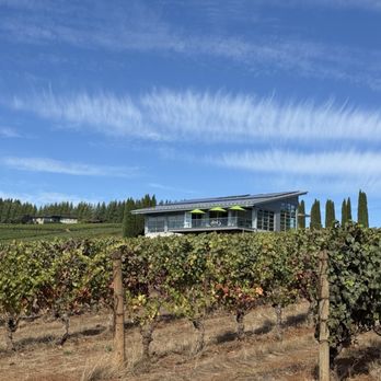 Winderlea Vineyard & Winery - View of tasting room from the vineyard - Wine Tasting Room Near Me - Dundee, Oregon Winderlea Vineyard & Winery - View of tasting room from the vineyard - Wine Tasting Room Near Me - Dundee, Oregon